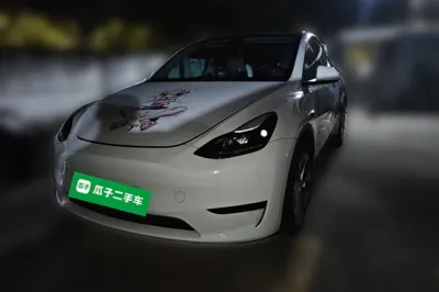 Tesla Model Y · 2022 год