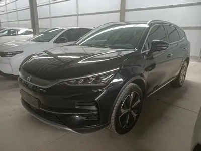 BYD Tang New Energy · 2023 год