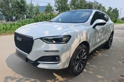 Haval F5 · 2020 год