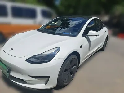 Tesla Model 3 · 2021 год