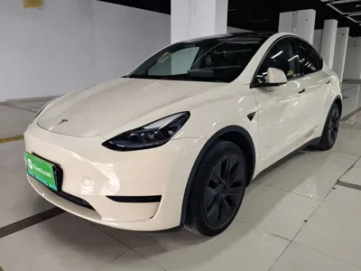 Tesla Model Y · 2024 год