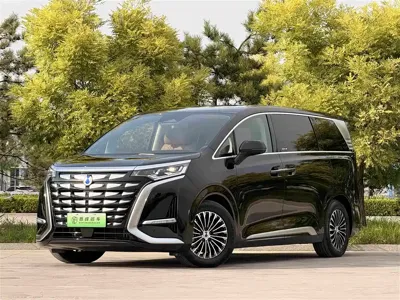 Denza Denza D9 · 2024 год