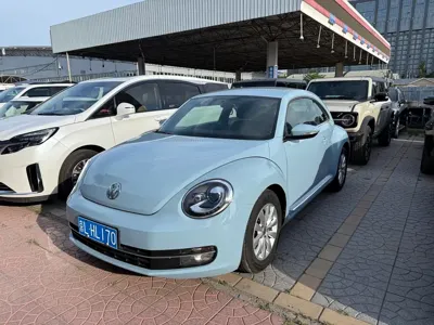 Volkswagen Beetle · 2014 год