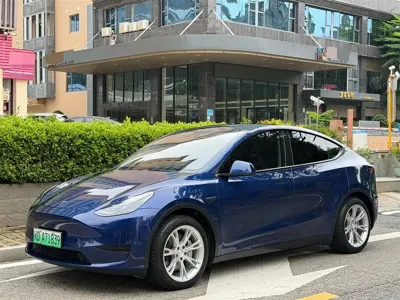 Tesla Model Y · 2023 год