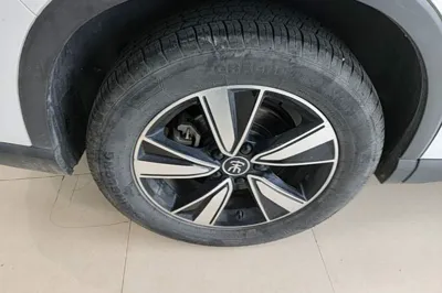 BYD Song Pro New Energy 2022, 57800 км, за 84070.49 CNY - фото 11