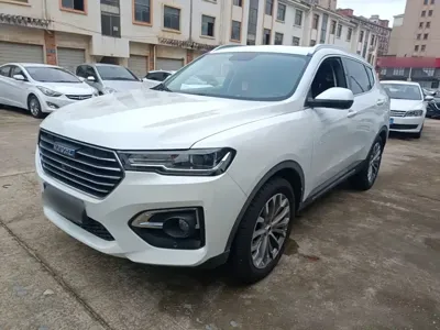 Haval H6 · 2019 год