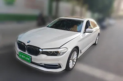 BMW 5 Series · 2019 год