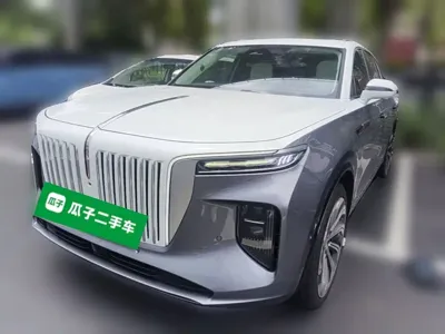 Hongqi Hongqi E-HS9 · 2021 год