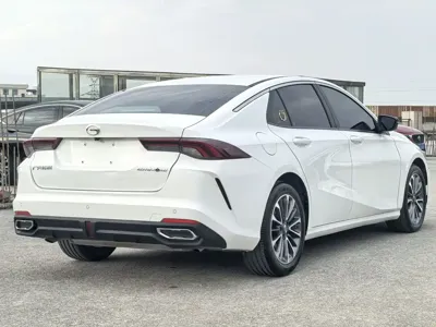 GAC Motor Shadow Leopard 2022, 40000 км, за 49800 CNY