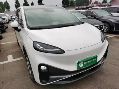 Arcfox Kaola 2024, 39400 км, за 69000 CNY - фото 4