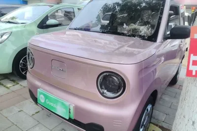 Geely Galaxy Panda · 2024 год