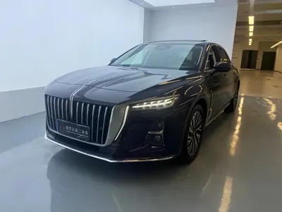 Hongqi Hongqi H5 · 2024 год