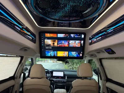 Kia Canival · 2025 год
