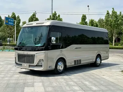 Hongqi 红旗金葵花国悦 · 2025 год