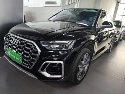 Audi Q5L · 2023 год