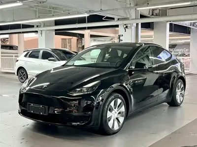 Tesla Model Y · 2021 год