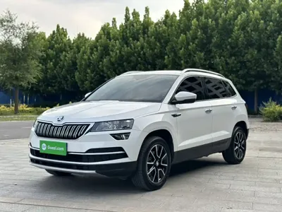 Skoda Karoq · 2020 год