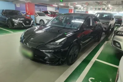 Tesla Model 3 · 2021 год