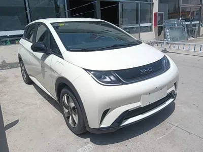 BYD Dolphin 2024, 300 км, за 90754.94 CNY