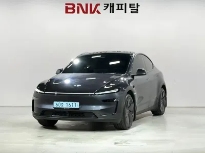 Tesla Model Y · 2025 год