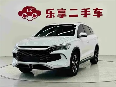 BYD Pro New Energy · 2024 год