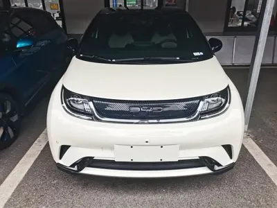 BYD Dolphin 2023, 45000 км, за 58800 CNY