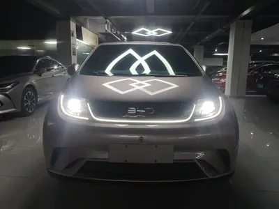 BYD Dolphin 2024, 38700 км, за 61200 CNY