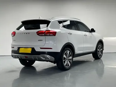 Haval H6 2021, 58500 км, за 44000 CNY - фото 7