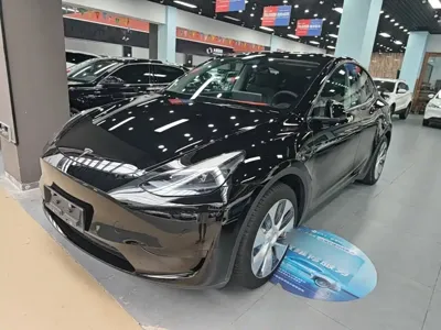 Tesla Model Y · 2023 год