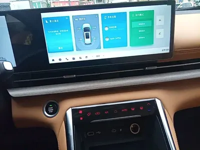 大通 大通G50插电混动 2025, 5699 км, за 97300 CNY - фото 13