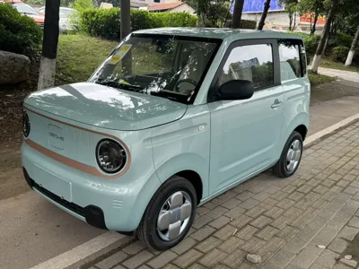 Geely Panda · 2024 год