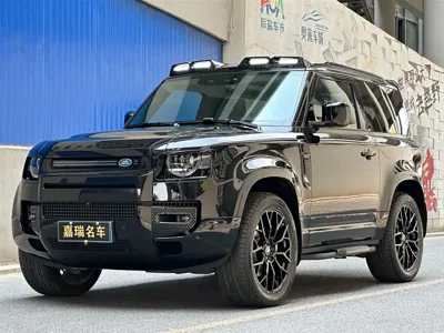 Land Rover Defender · 2024 год