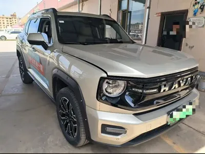 Haval 哈弗大狗 PLUS 新能源 · 2025 год