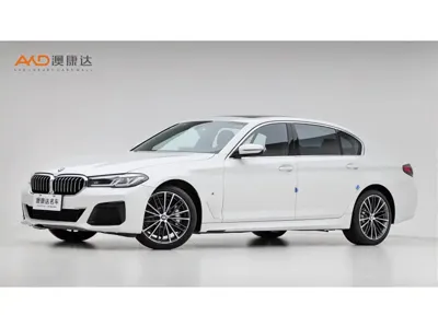 BMW 5 Series · 2021 год