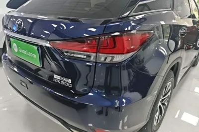Lexus RX 2020, 53300 км, за 235581.06 CNY - фото 9