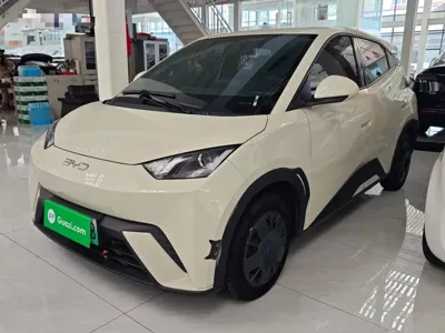 BYD Seagull 2024, 14900 км, за 48900 CNY