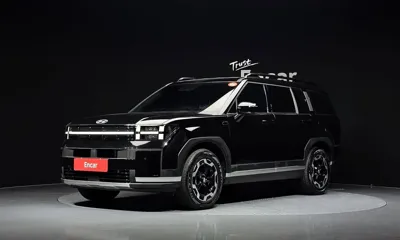 Hyundai Santafe · 2024 год
