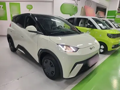BYD Seagull 2024, 20800 км, за 48300 CNY