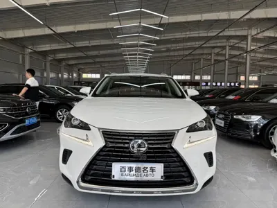 Lexus NX · 2021 год