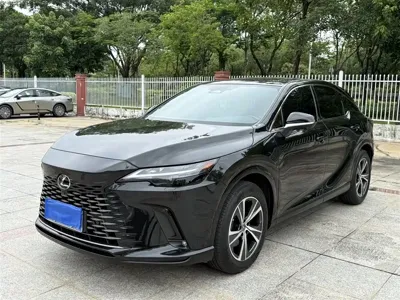 Lexus RX · 2024 год