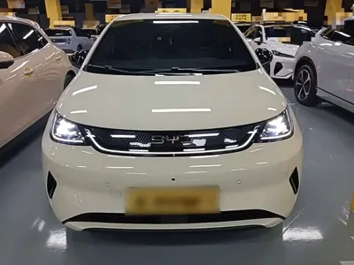 BYD Dolphin 2025, 16700 км, за 76200 CNY