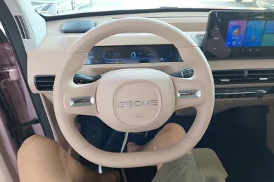 Geely Galaxy Panda 2024, 7000 км, за 6607 USD - фото 13