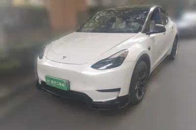 Tesla Model Y · 2023 год