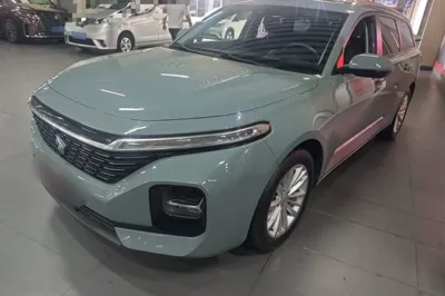 Baojun Valli · 2021 год