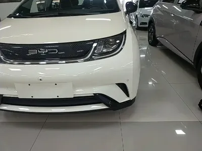 BYD Dolphin 2023, 19100 км, за 63900 CNY - фото 24