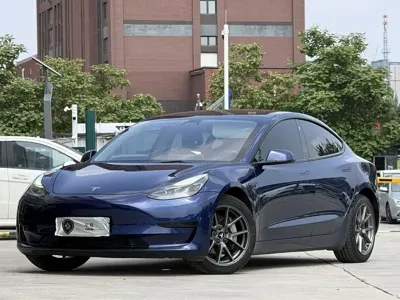 Tesla Model 3 · 2021 год