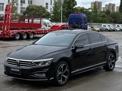 Volkswagen Magotan · 2024 год