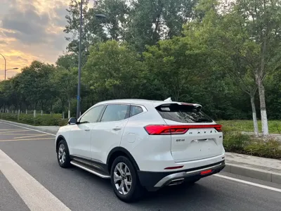 Haval H6 2022, 51800 км, за 75800 CNY - фото 8