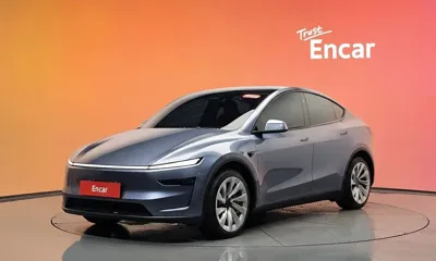Tesla Model Y · 2025 год