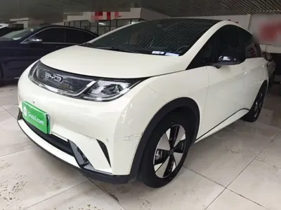 BYD Dolphin · 2023 год